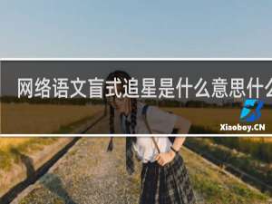 网络语文盲式追星是什么意思什么梗