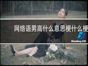 网络语男高什么意思梗什么梗