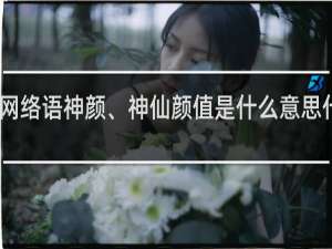 网络语神颜、神仙颜值是什么意思什么梗