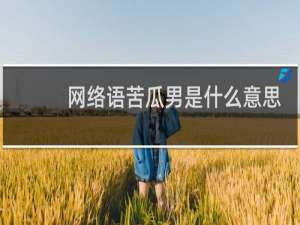 网络语苦瓜男是什么意思，是指什么样的男人什么梗