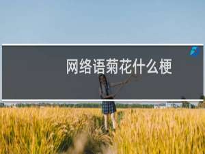 网络语菊花什么梗