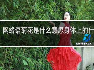 网络语菊花是什么意思身体上的什么梗