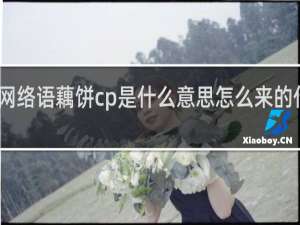网络语藕饼cp是什么意思怎么来的什么梗
