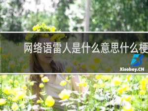 网络语雷人是什么意思什么梗