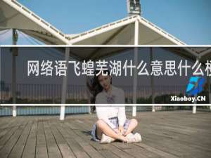 网络语飞蝗芜湖什么意思什么梗
