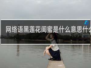 网络语黑莲花闺蜜是什么意思什么梗