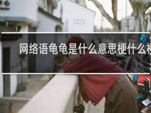 网络语龟龟是什么意思梗什么梗