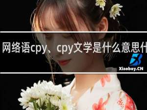 网络语cpy、cpy文学是什么意思什么梗