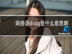 网络语dssq是什么意思啊，是什么的缩写什么梗