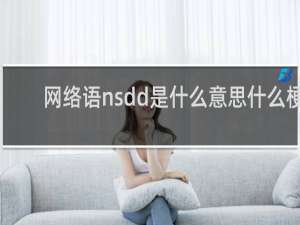 网络语nsdd是什么意思什么梗