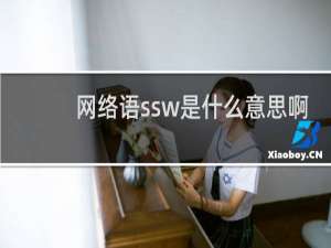 网络语ssw是什么意思啊，是什么的缩写啊什么梗