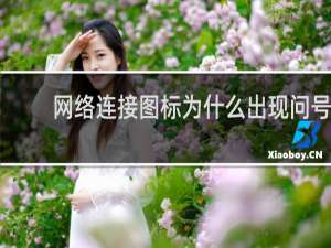 网络连接图标为什么出现问号