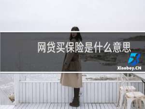 网贷买保险是什么意思