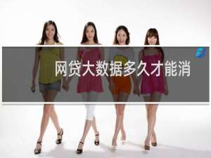 网贷大数据多久才能消除（网贷大数据多久清一次）