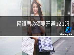 网银盾必须要开通b2b吗