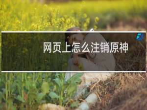 网页上怎么注销原神