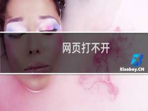 网页打不开，不设置静态就OK