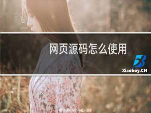 网页源码怎么使用