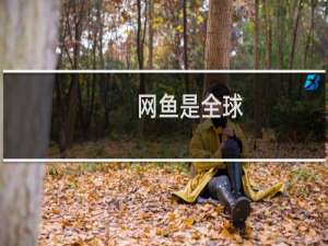 网鱼是全球