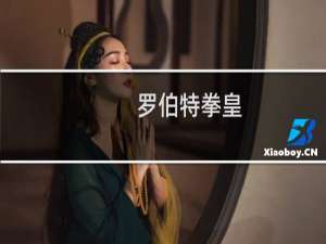罗伯特拳皇