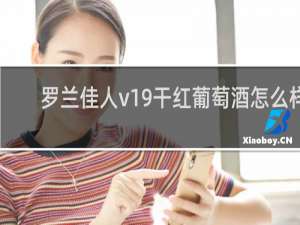 罗兰佳人v19干红葡萄酒怎么样