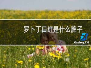 罗卜丁口红是什么牌子
