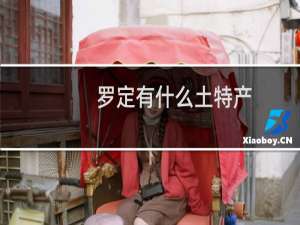 罗定有什么土特产