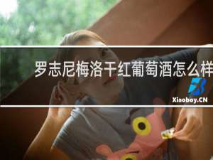 罗志尼梅洛干红葡萄酒怎么样