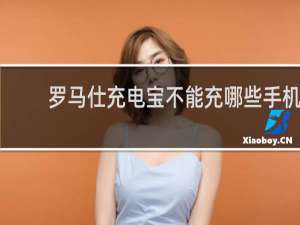 罗马仕充电宝不能充哪些手机