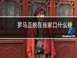 罗马正统在张家口什么梗