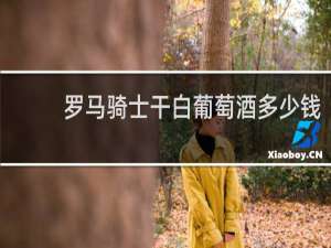 罗马骑士干白葡萄酒多少钱