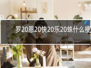 罗 恩 快 乐 蛛什么梗