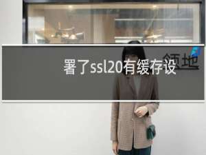 署了ssl 有缓存设置，这个设置可否取消呢?