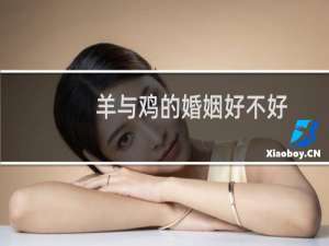 羊与鸡的婚姻好不好