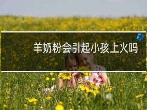 羊奶粉会引起小孩上火吗