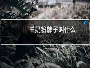 羊奶粉牌子叫什么