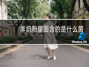 羊奶粉里面含的是什么菌