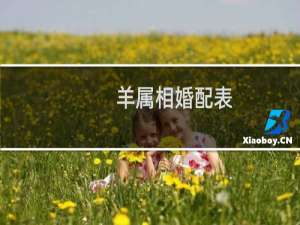 羊属相婚配表