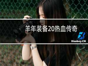 羊年装备 热血传奇