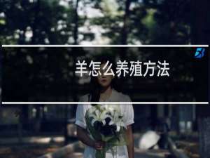 羊怎么养殖方法
