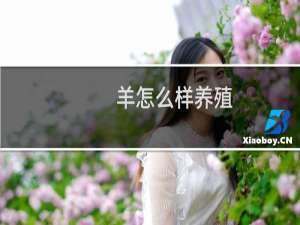 羊怎么样养殖