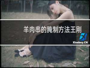 羊肉串的腌制方法王刚（羊肉串的腌制方法）