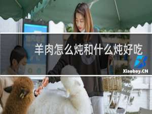 羊肉怎么炖和什么炖好吃