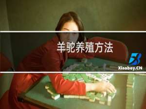 羊驼养殖方法