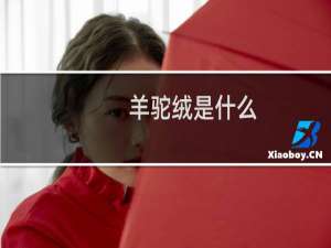 羊驼绒是什么（羊驼绒是什么面料）