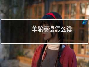 羊驼英语怎么读