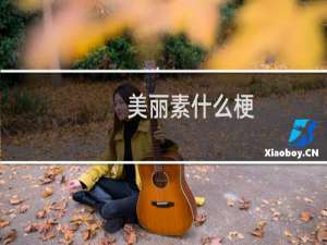 美丽素什么梗