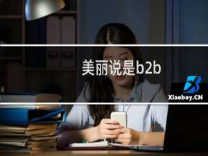 美丽说是b2b