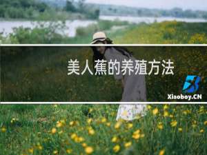 美人蕉的养殖方法