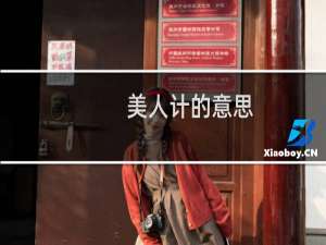 美人计的意思（美人计是什么意思）
